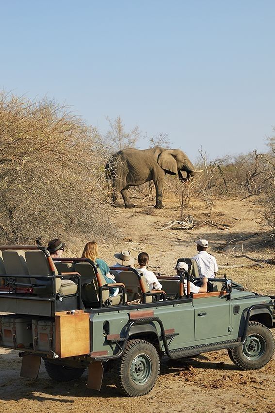 Kenyan Safari